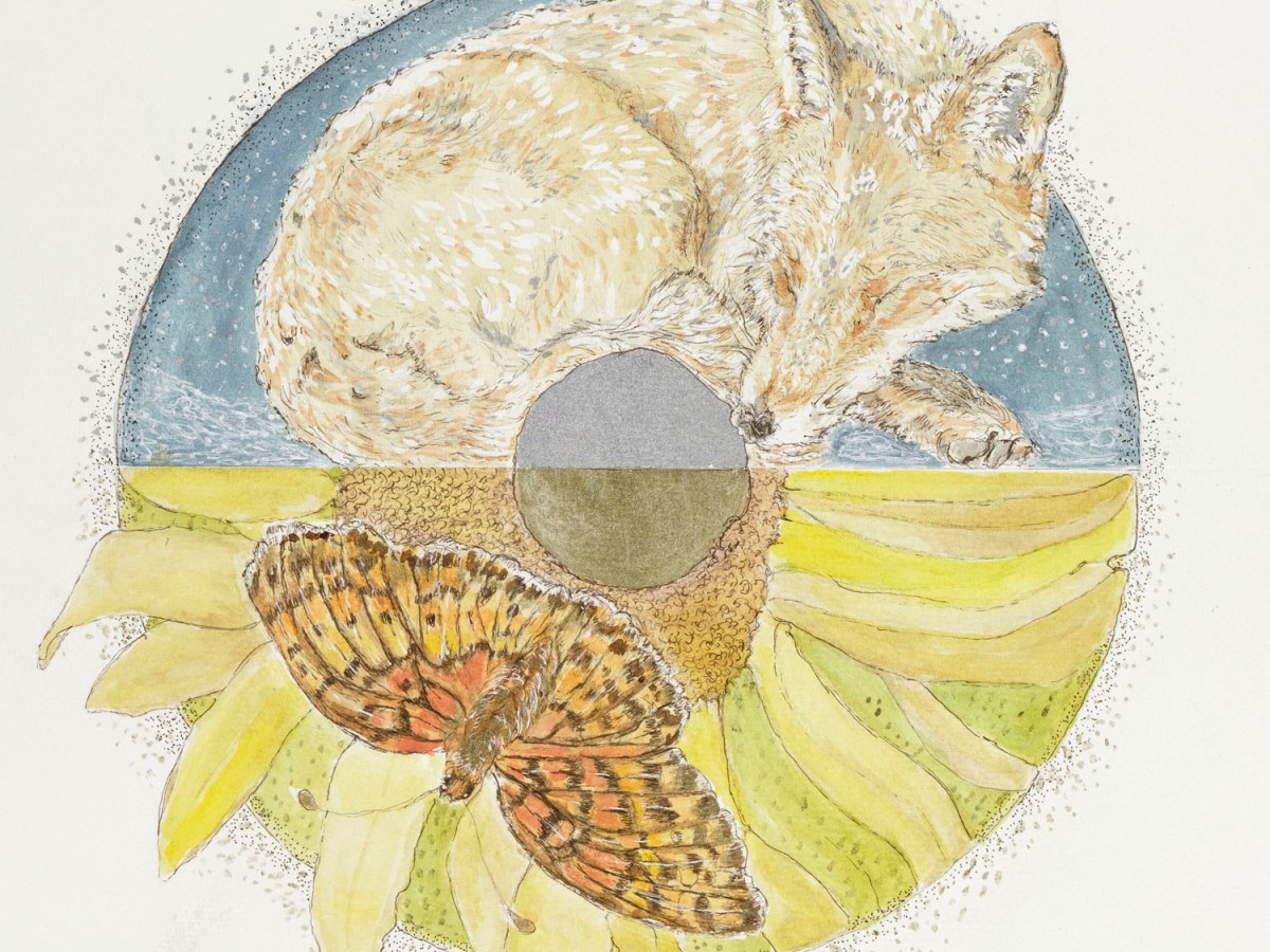 Cycle of the&nbsp;Solstice